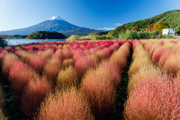 川口湖畔の大石公園から望む秋晴れの富士山