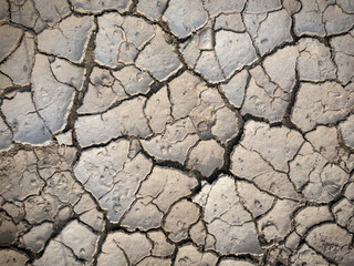 Cracked earth texture for nature background