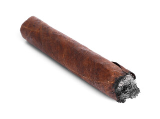 One burnt expensive cigar isolated on white