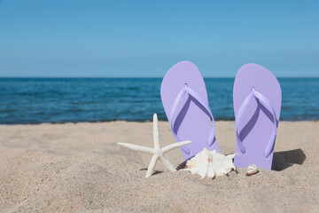 Stylish violet flip flops, starfish and seashells on beach sand, space for text