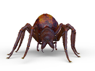 蜘蛛　3DCG レンダリング