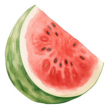 Watercolor and drawing for fresh watermelon isolated. Digital painting of fruits and vegetables illustration.