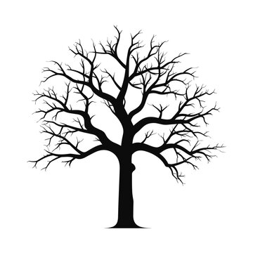 Scary Dead Tree vector Silhouette isolated on a white background