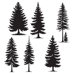 Obraz premium Isolated Pine on the white background. Pine silhouettes. Christmas elements. Vector illustration. 