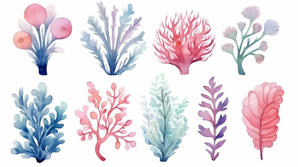 Fototapeta na wymiar watercolor isolated object drawing blue and pink algae and corals on a white background