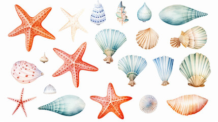 watercolor isolated object sea shells starfish - obrazy, fototapety, plakaty
