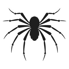 Cobweb Vector isolated on a White background, Spider and web silhouette