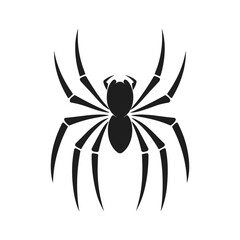 Cobweb Vector isolated on a White background, Spider and web silhouette