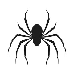 Cobweb Vector isolated on a White background, Spider and web silhouette