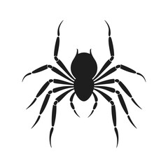 Cobweb Vector isolated on a White background, Spider and web silhouette