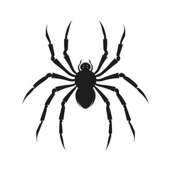 Cobweb Vector isolated on a White background, Spider and web silhouette