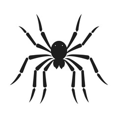 Cobweb Vector isolated on a White background, Spider and web silhouette