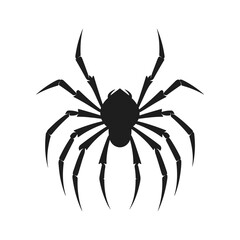 Cobweb Vector isolated on a White background, Spider and web silhouette