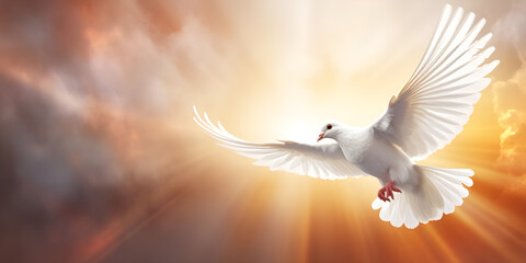 Christian Imagery in Sunlit Grace, Tranquil Spirit: The Beauty of Pentecost's Holy Dove.AI Generative  - obrazy, fototapety, plakaty