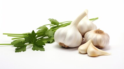Garlic with parsley on white background