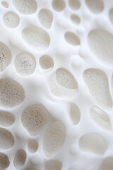 Fototapeta na wymiar Organic porous texture resembling bone or coral, suitable for scientific illustration, natural design elements, or abstract art.