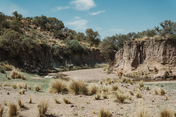 Trekking at Sierra de Tuaní, La Rioja, Argentina