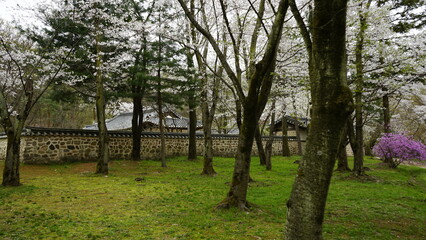 김포 장릉에는 문화재인 한옥집과 정원이 아름다게 꽃들이 피어 있는 정원입니다.