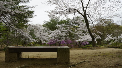 김포 장릉에는 문화재인 한옥집과 정원이 아름다게 꽃들이 피어 있는 정원입니다.