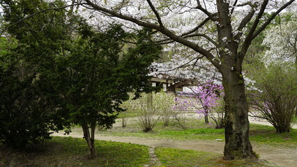 김포 장릉에는 전통 문화재인 한옥건축물과 정원이 아름답게 꽃들이 있는 풍경입니다