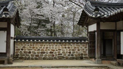 김포 장릉에는 전통 문화재인 한옥건축물과 정원이 아름답게 꽃들이 있는 풍경입니다