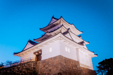 Fototapeta premium 【神奈川】小田原城周辺 夜景