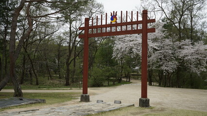 김포장릉에는 한옥 문화재건축과 봄풍경의 아름다운 꽃들과 연못이 있는 풍경입니다