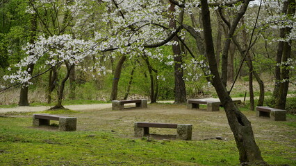 김포장릉에는 한옥 문화재건축과 봄풍경의 아름다운 꽃들과 연못이 있는 풍경입니다