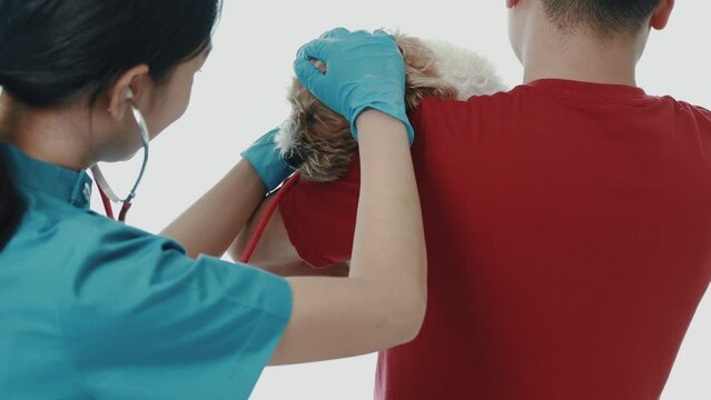 Animal treatment and veterinarians, doctors examining dogs to find the cause of illness, vaccinating dogs, taking close care of pets' bodies to keep them healthy, taking pets for annual vaccinations.