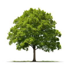 Fototapeta na wymiar 3D-Style Tree Illustration