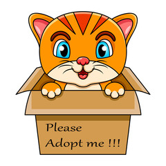 Cute cat cartoon in present gift box with text adopt me please