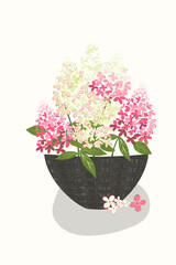 Botanical vector design for print,  poster, card, cover, Minimal and natural wall art. Hydrangea flowers, bouquets in flowerpots. Pastel tone, green and pink color. Decoration with textured patterns.