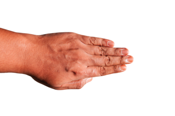 left palm isolated on transparency background