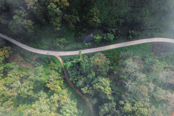 Forest road and morning fog, high angle