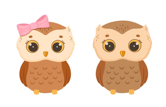 Vector cartoon cute baby girl and boy owl. Hand drawn character forest bird isolated on white background. Woodland illustration for kids