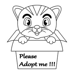 Cute cat cartoon in present gift box with text adopt me please line art