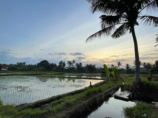 Fototapeta premium Bali Sunrise