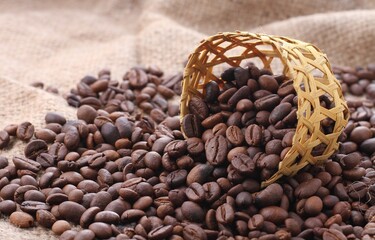 A coffee bean is a fruit from the Coffea plant and the source for coffee. It is the pip inside the red or purple fruit. 