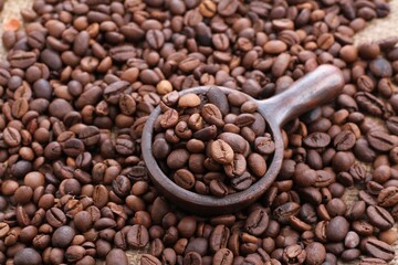 A coffee bean is a fruit from the Coffea plant and the source for coffee. It is the pip inside the red or purple fruit. 