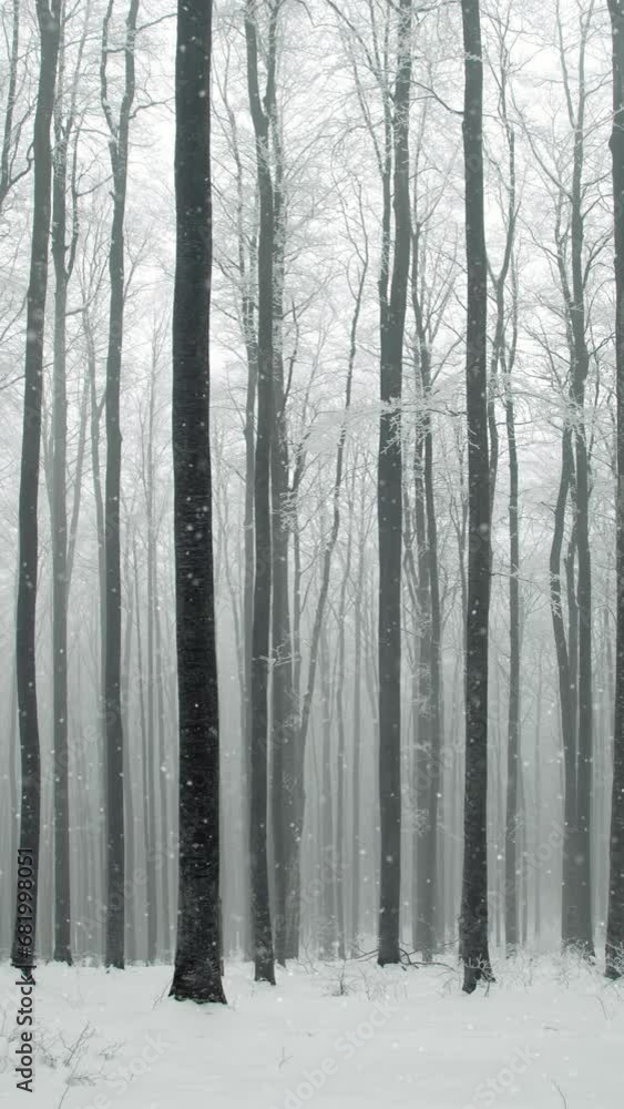 Poster magic winter foggy forest with loop snowfall. vertical.
