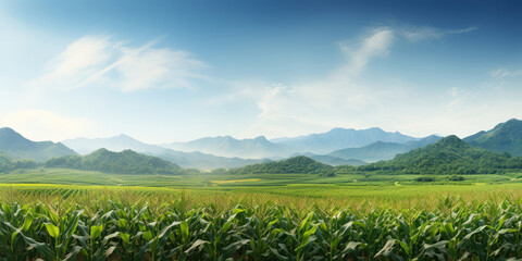 Expansive cornfields stretching towards distant hills and mountains