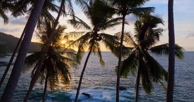 Silhouette coconut palm trees in beautiful sunset or sunrise sky over sea,Amazing light nature colorful clouds landscape,Beautiful light nature sky and clouds seascape,Sky clouds background