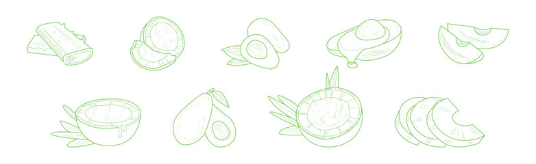 Hand Drawn Avocado, Coconut and Aloe as Healthy Natural Product Vector Set
