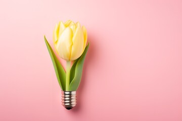 A yellow tulip growing out of a light bulb on a pink background is a surreal and whimsical image that evokes feelings of spring, hope, and new beginnings. - obrazy, fototapety, plakaty