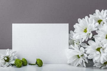 White chrysanthemums, daisies and a blank card on a white table. Postcard, invitation.