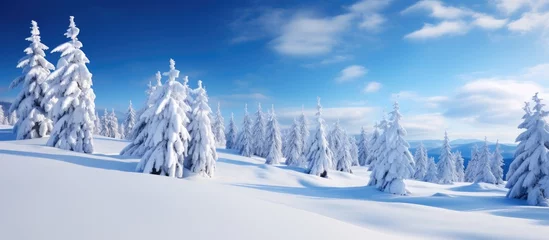 Fotobehang In the stunning winter landscape of Europe, a traveler found solace in a serene forest covered with snow, where tall trees stood tall and proud, forming a breathtaking white panorama. As a new year © 2rogan