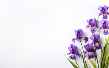 Happy start of spring poster. Beautiful purple irises isolated on white background. Garden flowers frame. Copy space. Pastel violet, lilac, green colors. Fresh sale banner design. AI Generative.