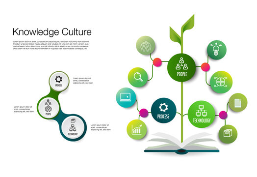 Knowledge management (KM) 
Technology, People, and Processes form the three pillars the process of identifying, organizing, storing and disseminating information an organization.