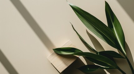  a green plant sitting on top of a table next to a piece of paper on top of a wooden block with a piece of wood sticking out of paper on top of it. - obrazy, fototapety, plakaty
