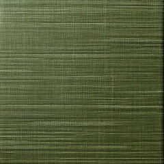 Intricate and Earthy Deep Green Grasscloth Wallpaper